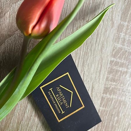 Apartma Ksela Mala Nedelja エクステリア 写真