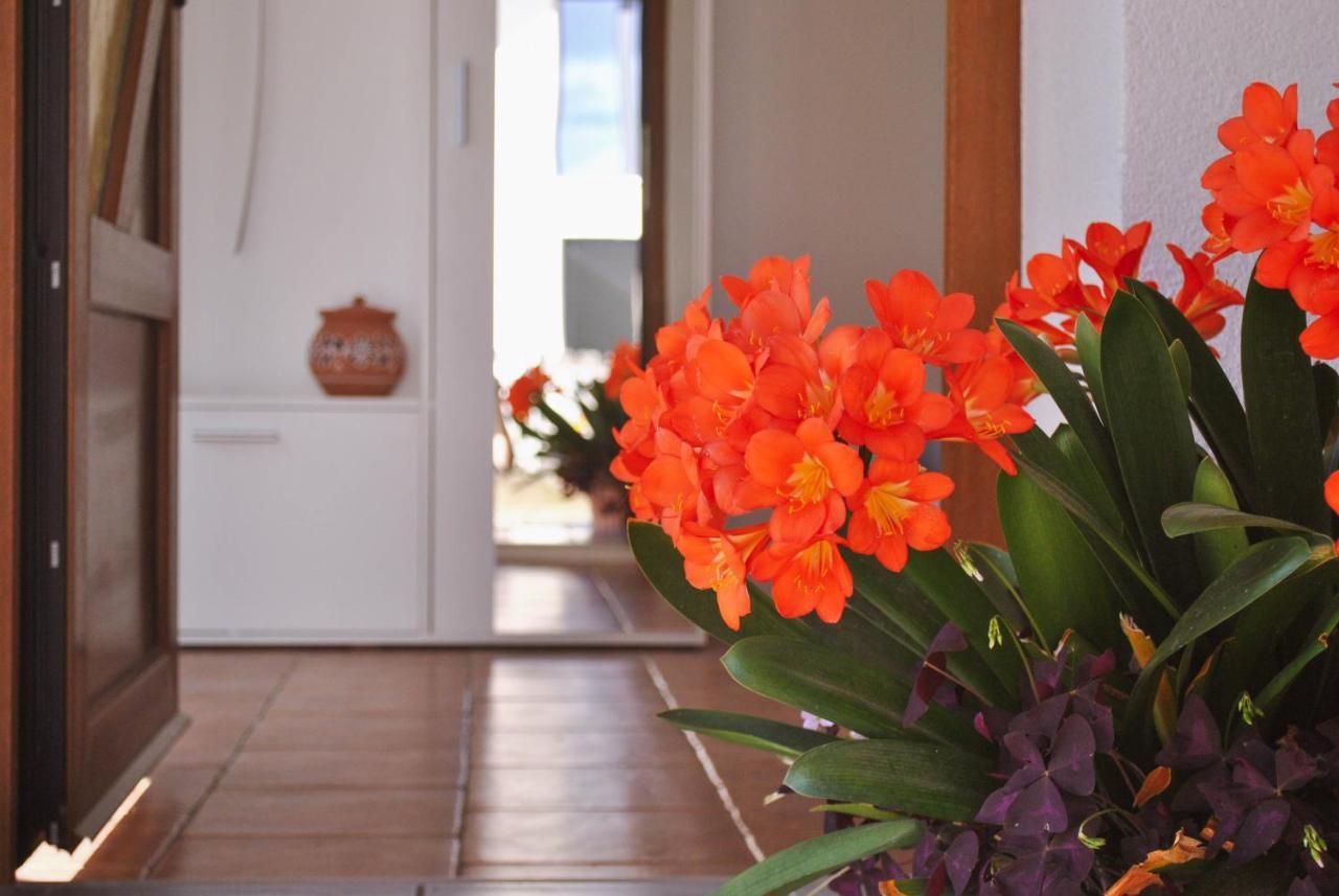 Apartma Ksela Mala Nedelja エクステリア 写真
