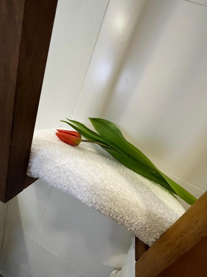 Apartma Ksela Mala Nedelja エクステリア 写真