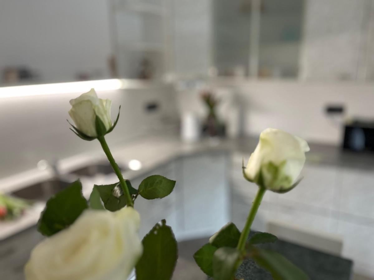 Apartma Ksela Mala Nedelja エクステリア 写真
