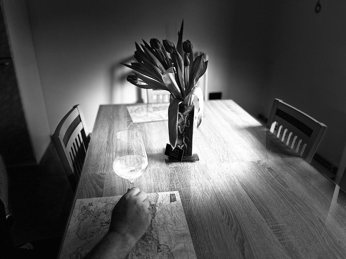 Apartma Ksela Mala Nedelja エクステリア 写真