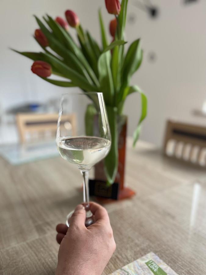 Apartma Ksela Mala Nedelja エクステリア 写真
