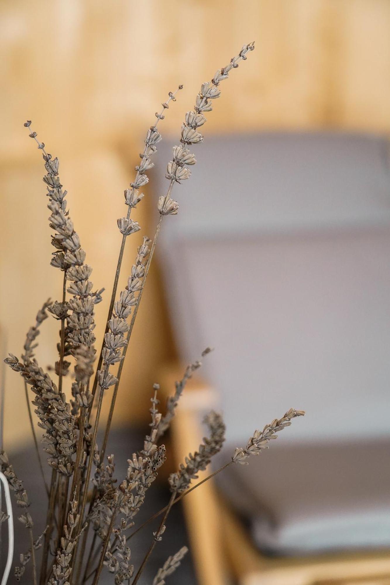 Apartma Ksela Mala Nedelja エクステリア 写真